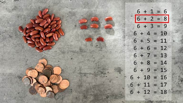 Beans arranged with times tables for concept work