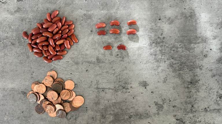 Beans and pennies grouped and counted for math concepts